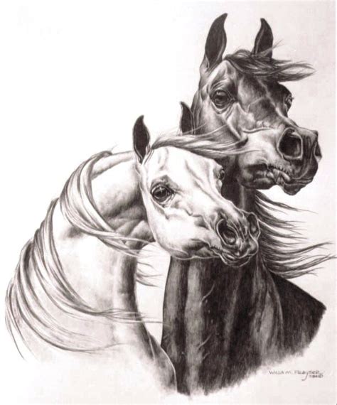 Pin On Arabian Horse Art