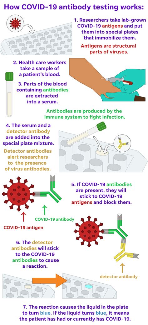 University Of Arizona Working On Tests To Detect Covid 19 Antibodies
