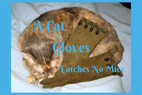 Are You A Cat In Gloves Sheree Martin