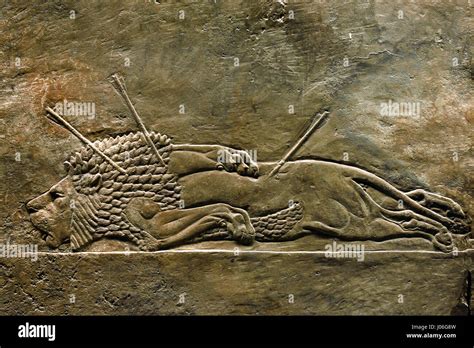 Ashurbanipal Lion Hi Res Stock Photography And Images Alamy