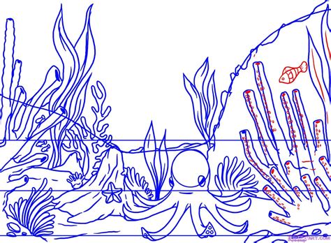 How To Draw A Realistic Coral Reef Step By Step At Drawing Tutorials