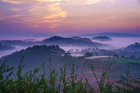 Vietnam Misty Dreamy Landscape Dalat Foggy Valley In Sunrise Photograph