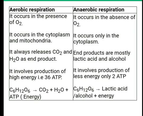 Comparing Aerobic And Anaerobic Respiration