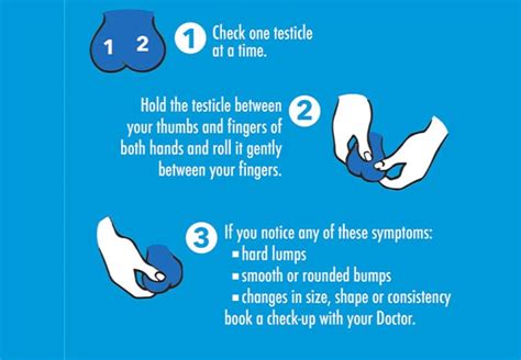 How To Check Your Testicles Regularly To Avoid Testicular Cancer Healthwise