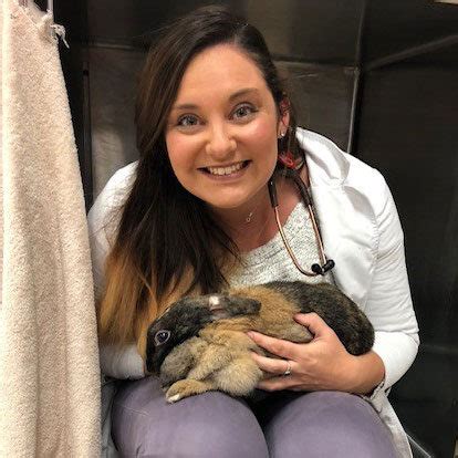 Curtner pet clinic is your local veterinarian in san jose serving all of your needs. Meet the Community Petcare Clinic Team - We're Here For You!