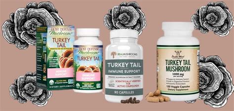 best turkey tail mushroom supplements drug genius