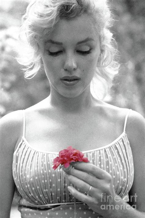 Marilyn Monroe Holding A Pink Flower Photograph By Doc Braham Pixels