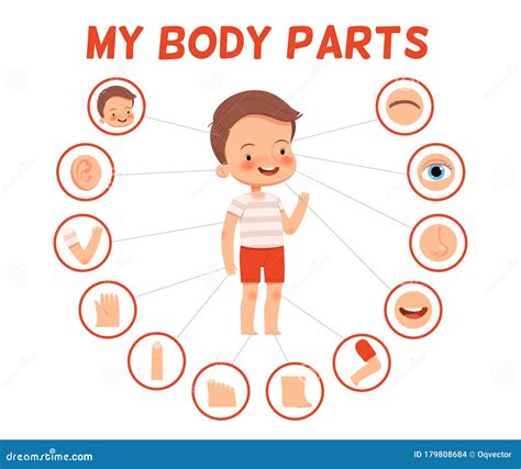 Boy Body Parts Stock Illustrations 728 Boy Body Parts Stock