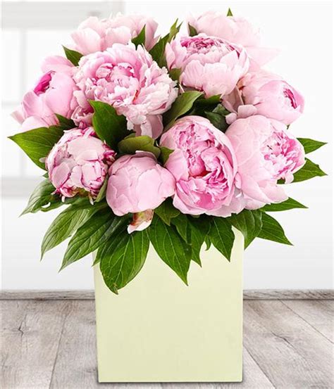 We did not find results for: Perfect Peonies | Summer Flowers | Rays Florist