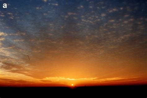THE COLORS OF TWILIGHT AND SUNSET - Stephen F. Corfidi