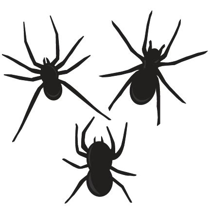 Spider SVG cutting files for scrapbooking halloween svg cut file