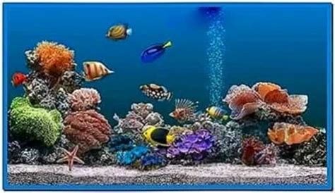 Marine Aquarium Screensaver 359 Download Screensaversbiz