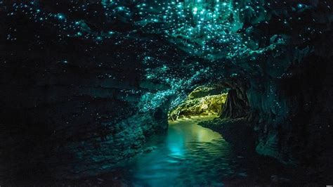 Glow Worm Cave New Zealand Glowworm Caves New Zealand Places To
