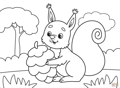 Squirrel Coloring Page Free Printable Coloring Pages