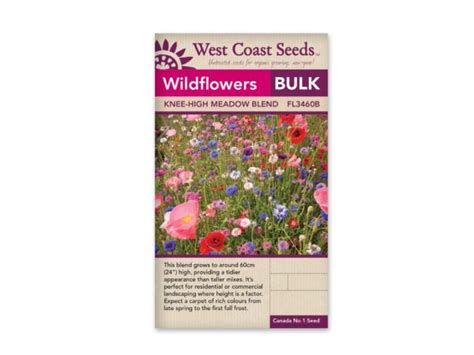 Wildflowers Knee High Meadow Blend West Coast Blue Grass Nursery Sod