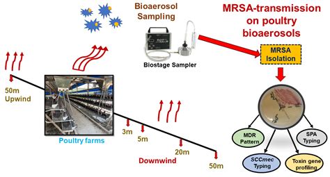 Antibiotics Free Full Text Role Of Bioaerosols On The Short