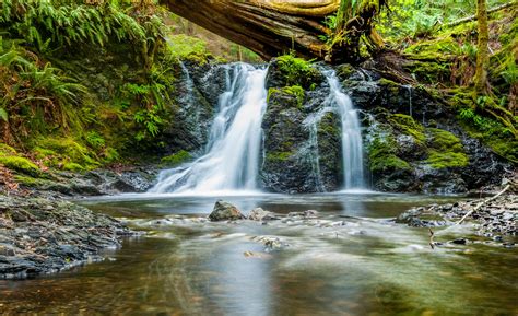 Free Images Nature Forest Waterfall Creek Leaf