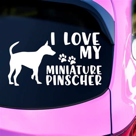 Min Pin Decal Etsy