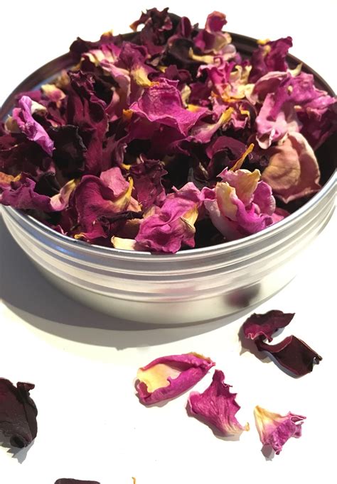 Dried Edible Rose Petals Fresh Edible Flowers From Maddocks Farm