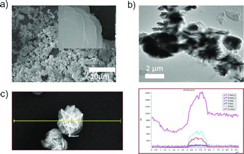 Morphology Characterization Of The Complex A Fesem Image Showing The