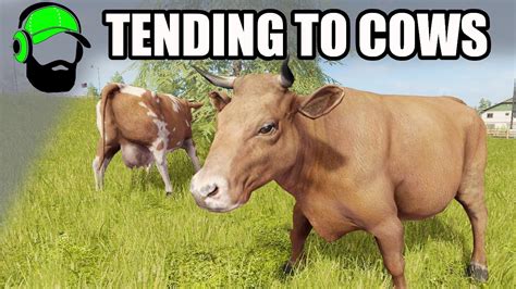 Cows, tutorial, buying cows, feeding cows, watering cows, breeding. Farming Simulator 17 - Tending to animals - Cows - YouTube