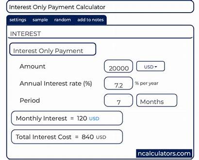 Interest Calculator Simple Payment Ncalculators