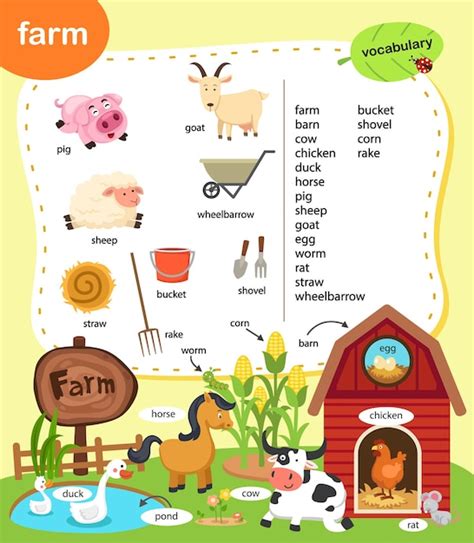 Premium Vector Education Vocabulary Farm Vector Illustration