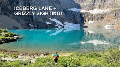 Iceberg Lake Hike Grizzly Bear Sighting In Glacier National Park