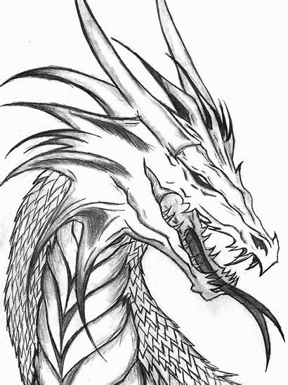 Dragon Chinese Coloring Realistic Sheets Drawing Pages