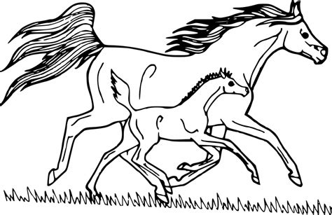 Coloriage Cheval au galop gratuit à imprimer  Coloriages.info