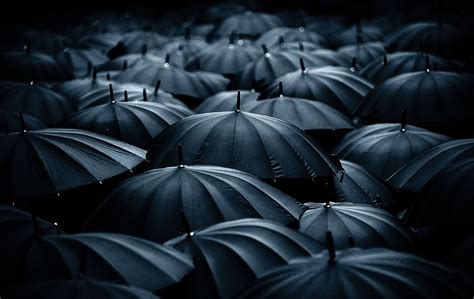 anonymity a crowd of similar black umbrellas in 2020 umbrella photography umbrellas