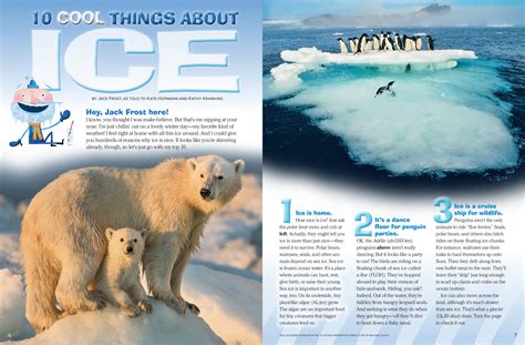 10 Cool Things About Ice Nwf Ranger Rick