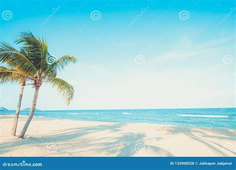 Landscape Of Coconut Palm Tree On Tropical Beach Stock Photo Image Of