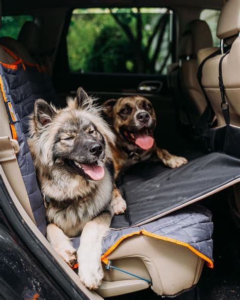 Backseat Bridge Backseat Extender Dog Travel Dogs Hiking Dogs