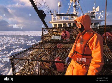 Commercial Crab Fisherman On A Boat Surrounded By Sea Ice Alaska Bering