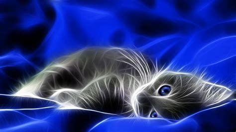 3d Digital Art Sweet Little Cat Wallpaper Download 1600x900