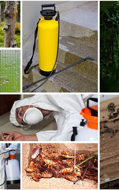 Professional pest control industry suppliers won't sell to homeowners or anyone without a pest control license. Stafford Pest Control | Big Dave's Termites & Pest Services