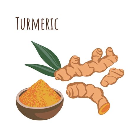 Premium Vector Turmeric Seasoning Root And Powder In Spice Bowl Flat