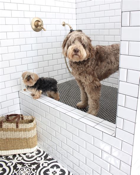 Posts From Thehouseofsilverlining Liketoknowit Dog Shower Dog