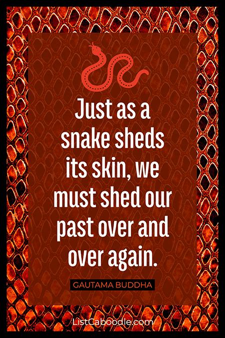 85 Snake Quotes And Serpent Sayings Listcaboodle