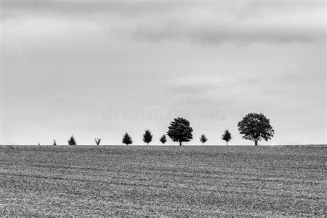 Line Of Trees On The Horizon Above A Tilled Farm Field And Under An