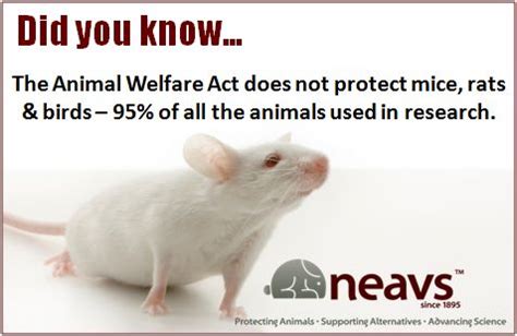 The animal welfare act has authority over animals in laboratories, animal exhibitors, dealers who sell animals to research laboratories, dog and cat breeders, animal carriers, intermediate handlers, circuses, zoos, puppy roadside menageries, mills, and transporters of animals. Pin by Lisa Collingridge on Don't just sit there, do ...