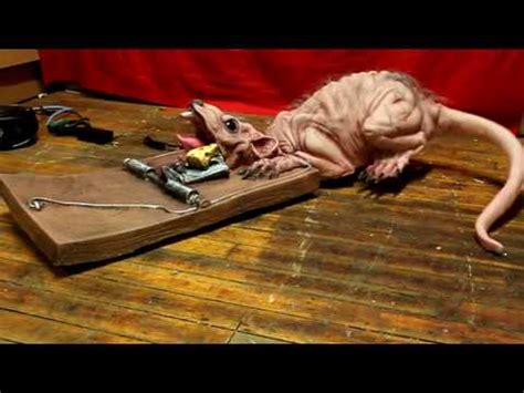A wide variety of mouse trap house options are available to you, such as material. Animated Rat in Trap Halloween Prop new for 2010 - YouTube