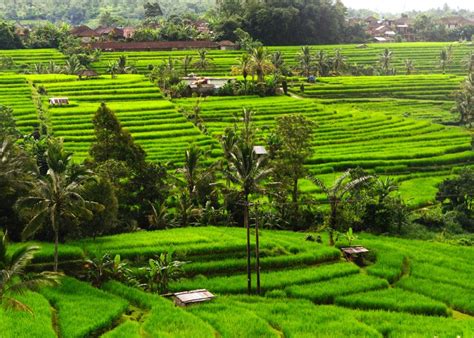 Indonesia tagged buatlah bagian resolusi teks cerita fantasi, buatlah sebuah puisi yang menggambarkan alam, cerita bahasa arab tentang keindahan alam, cerita pendek 4 paragraf, cerita tentang pemandangan sawah, cerpen keindahan alam pedesaan, contoh karangan deskripsi tentang pantai, contoh karangan eksposisi, contoh karangan. 10 Foto Keindahan Alam Indonesia yang Harus Kamu Ketahui