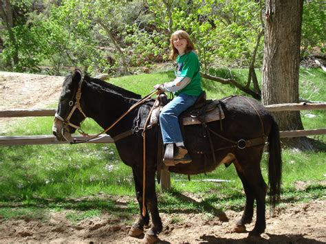 Staffords On The Road Zion National Park Horseback Ride Utah