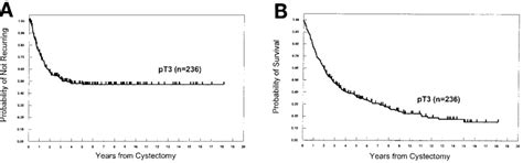 Survival in patients with pT3 bladder cancer treated with ...