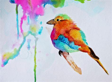 Colorful Watercolor Bird Painting Marcia Beckett