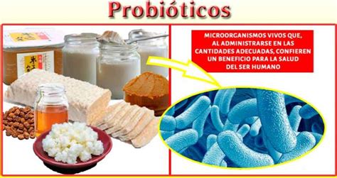 Beneficios De Las Bacterias En La Alimentacion Estos Beneficios
