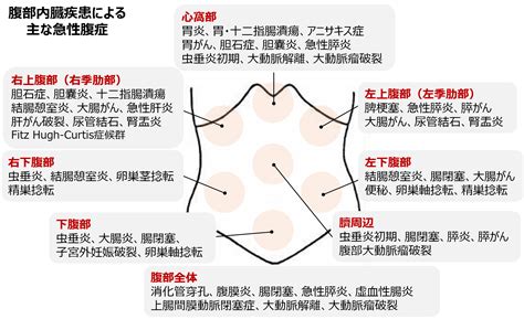 Shikkaku mon no saikyou kenja manga: 肩 甲骨 痛み 左 膵臓 | 左肩から腕の痛みに対する7つの原因と2 ...