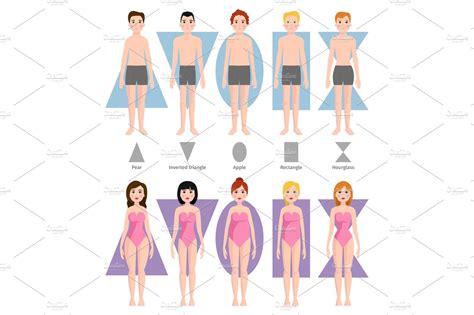 Vector Illustration Of Different Body Shape Types Custom Designed Illustrations ~ Creative Market